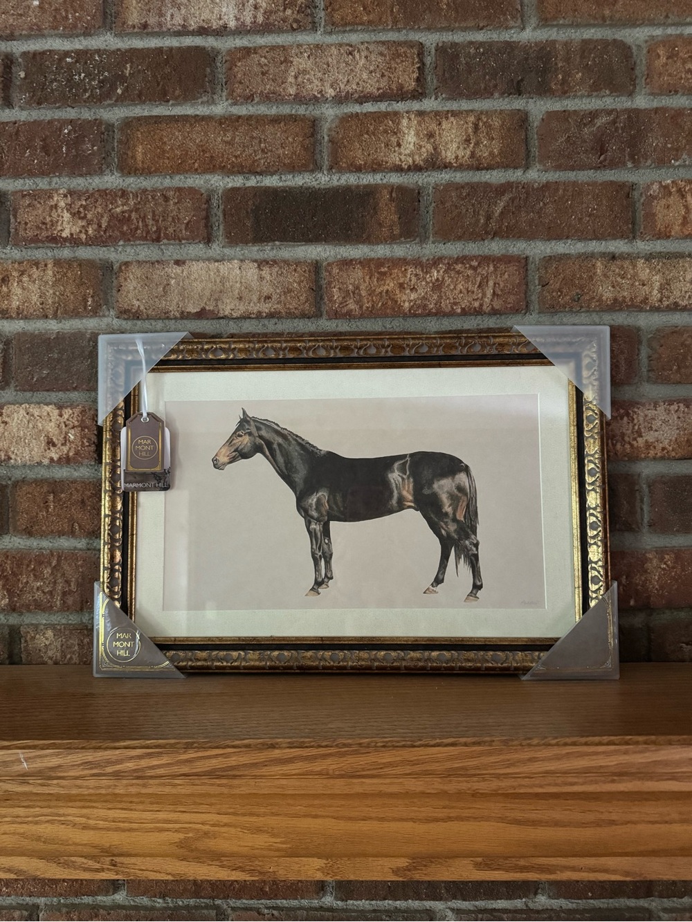 Framed and Matted Seal Bay Black Horse Print Wall Art by Marmont Hill